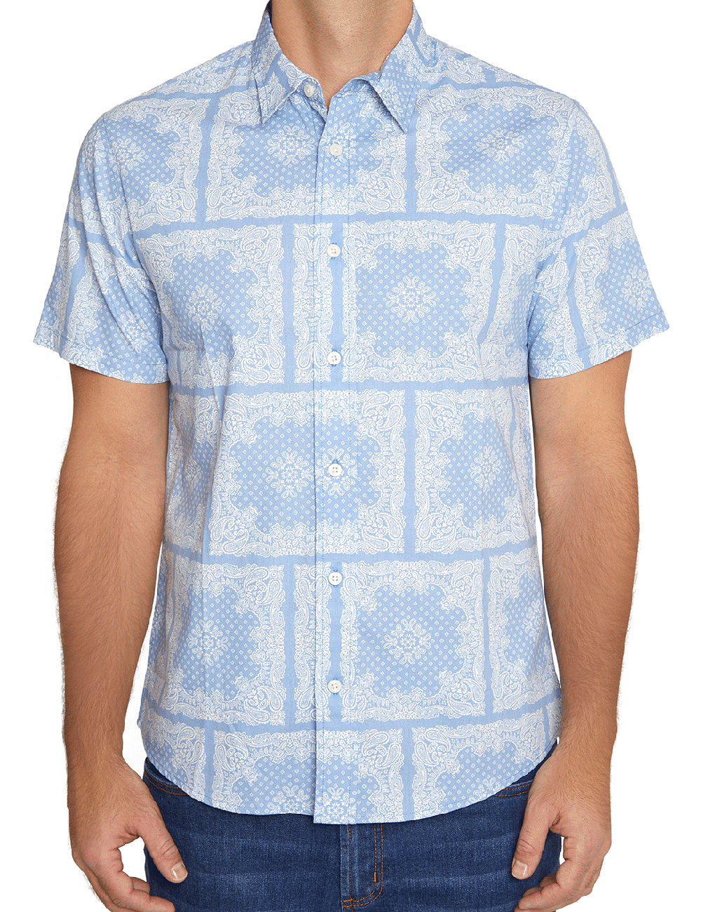 Printed Poplin Shirt