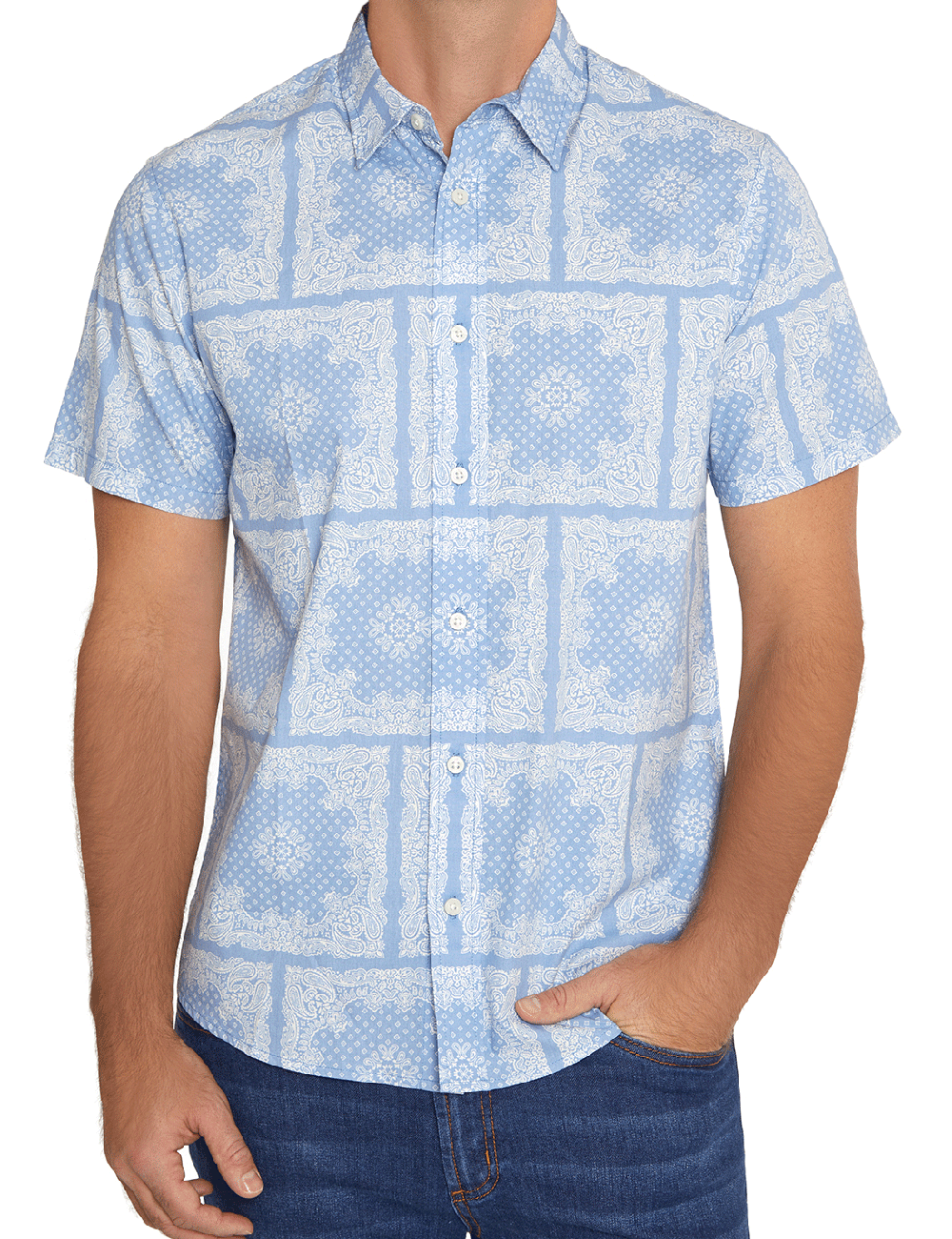 Printed Poplin Shirt